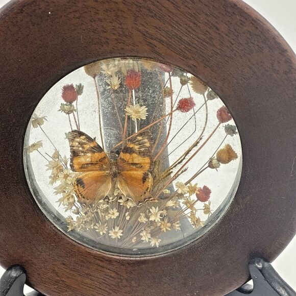 2-Vintage The Brazilia Collection By Dunston Butterflies & Dried Flowers 6.5" - Picture 9 of 14
